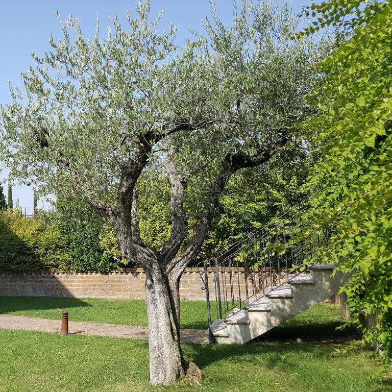 Corte La Guarnigione - Appartamento con Vista Giardino - 36