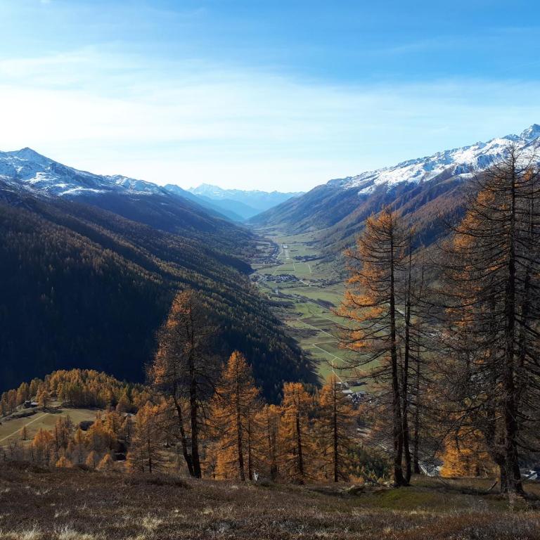 Alpensonne - Apartment mit Blick auf die Berge - 53