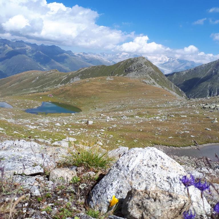 Alpensonne - Apartment mit Blick auf die Berge - 60