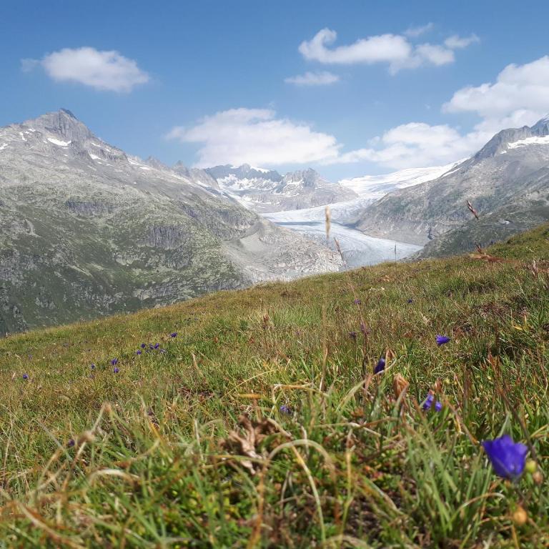 Alpensonne - Apartment mit Blick auf die Berge - 59