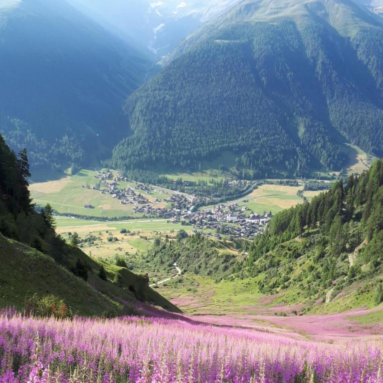 Alpensonne - Apartment mit Blick auf die Berge - 49