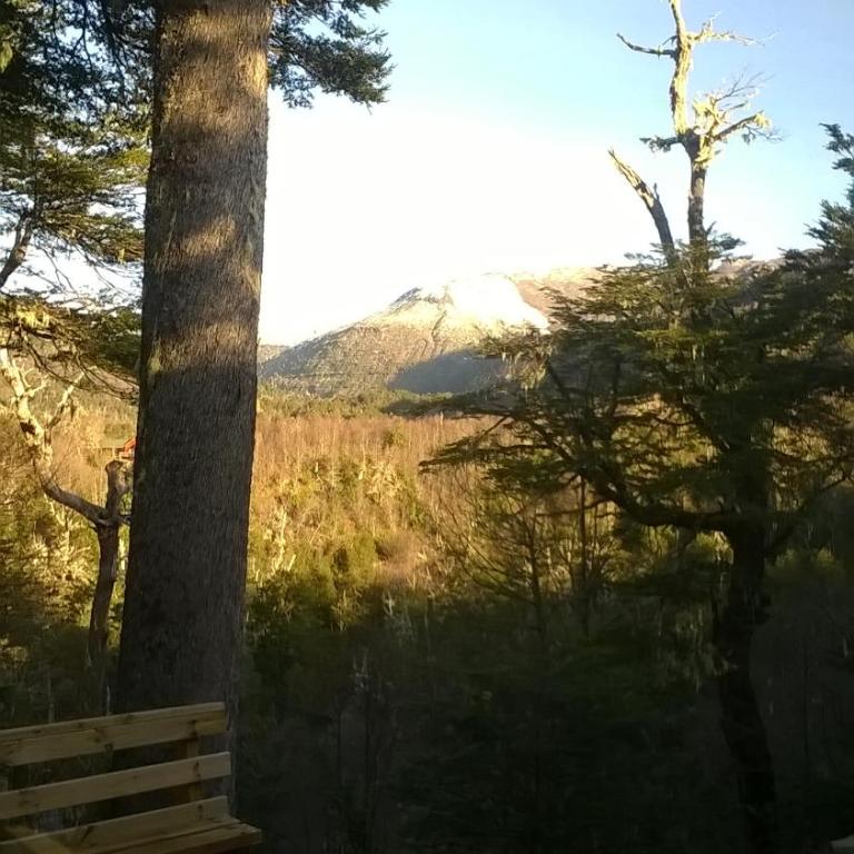 Lodge Palguin Alto - Superior Chalet - 14