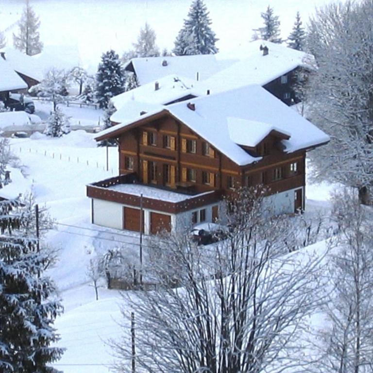 Chalet Studen - Chalet Studen - 8