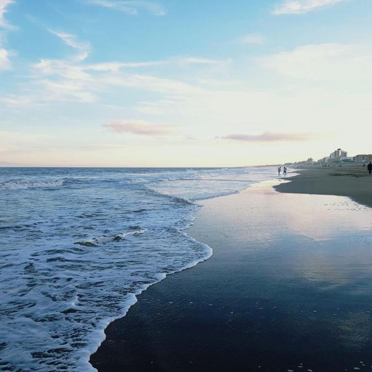 Arpon 9 - 5C - Frente al mar 2 dorm. cochera privada - Apartment with Sea View - 48