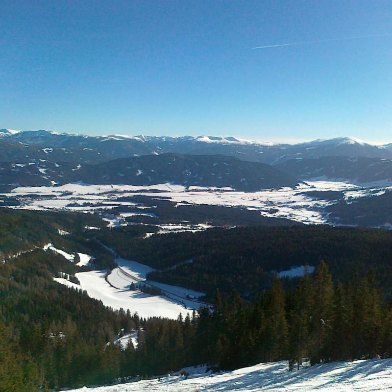 LANDHAUS Pichler - Apartment mit Blick auf die Berge - 49