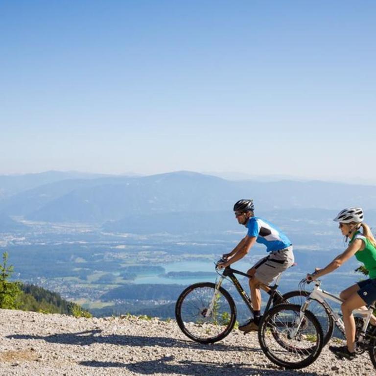 Ambiente Ferienapartments Warmbad Villach - Apartment mit Blick auf die Berge - 13