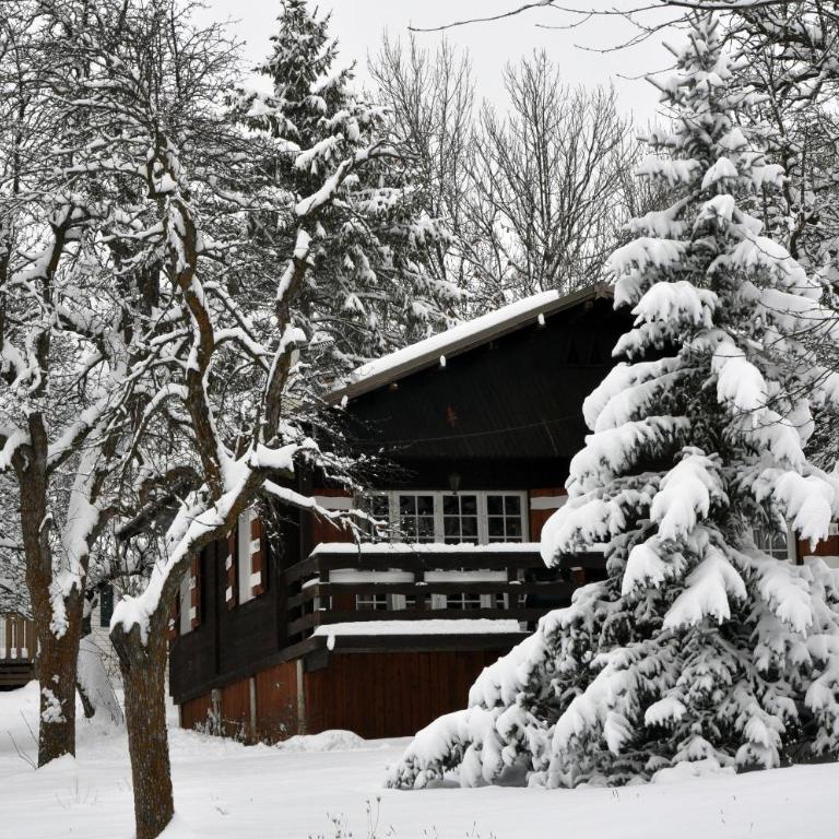 Camping, Hôtel De Plein Air Les Cariamas - Chalet de 3 dormitorios - 6