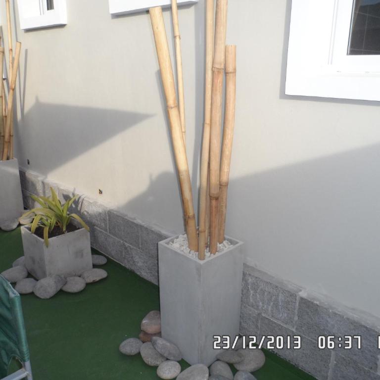 lacasadeloschicos - Estudio con terraza - 29