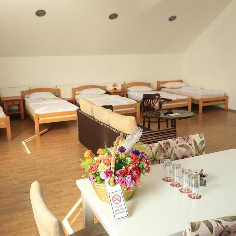 Pansion Centar - Suite - 6
