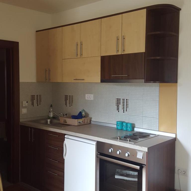 Nas Svet - Apartman sa 1 Spavaćom Sobom - 16