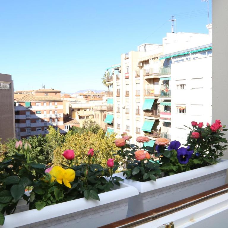 APARTAMENTO GRANADA CENTRO - Apartment - 24