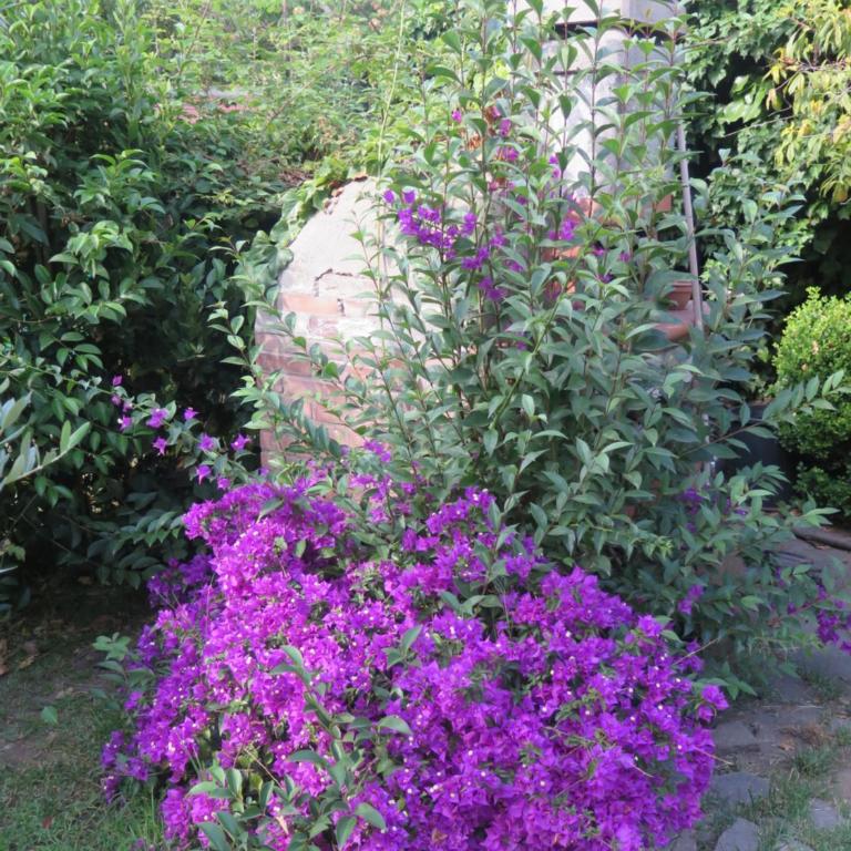Villa on the edge of town - Villa con 3 Camere da Letto - 49