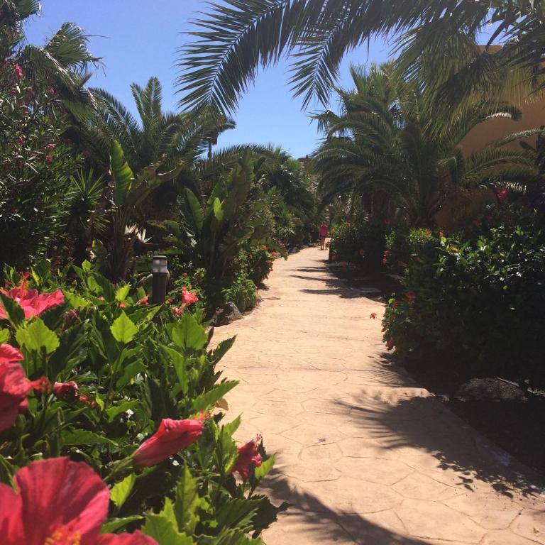 MY PRETTY HOME - Lovely and spacious surrounded by tropical gardens - private covered and uncovered terrace - pool - parking - FREE FIBRE OPTIC INTERNET - Apartamento con vistas a la piscina - 35