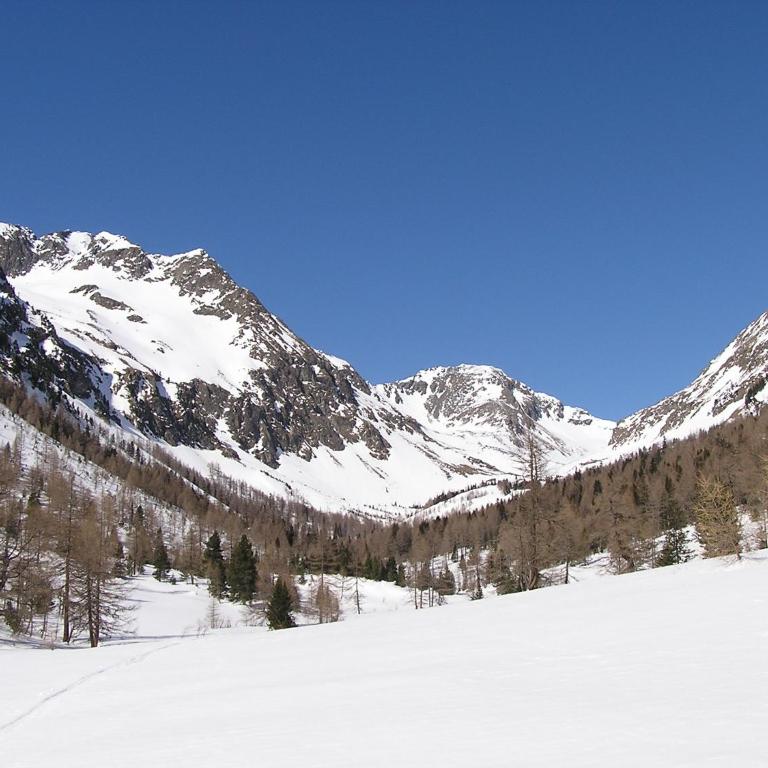 LANDHAUS Pichler - Apartment mit Blick auf die Berge - 45