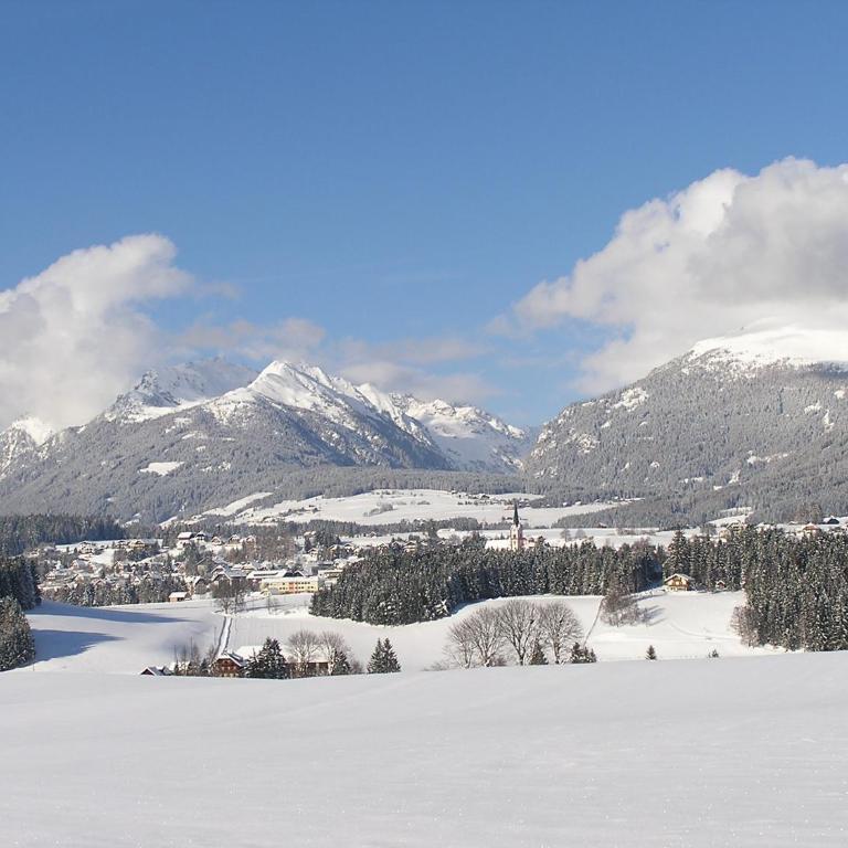 LANDHAUS Pichler - Apartment mit Blick auf die Berge - 44