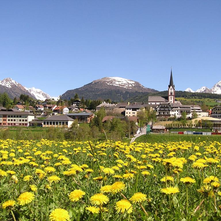 LANDHAUS Pichler - Apartment mit Blick auf die Berge - 41