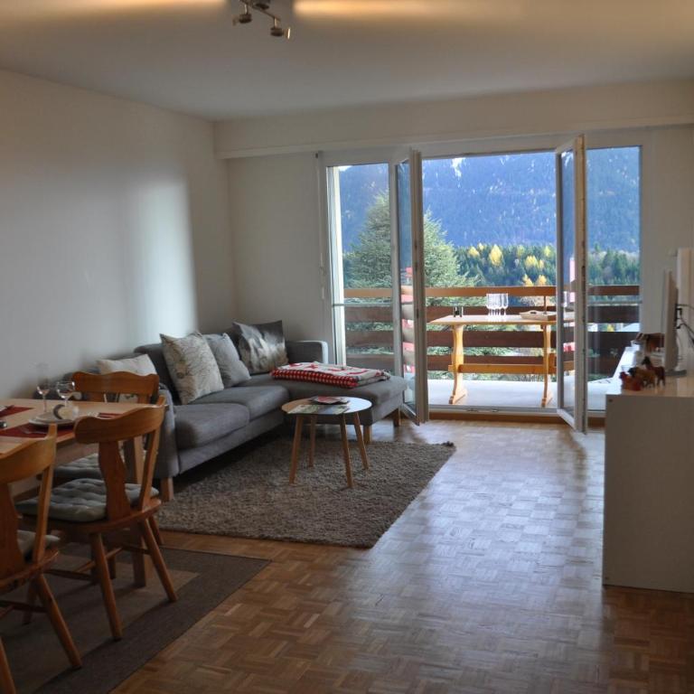 Apartment Leysin - Swiss Alps - Fully Renovated ! - Appartement - 11