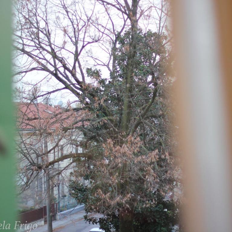 Casa vacanze Chez la Reine - holiday home Vicenza - Appartamentino su 2 Livelli - 40