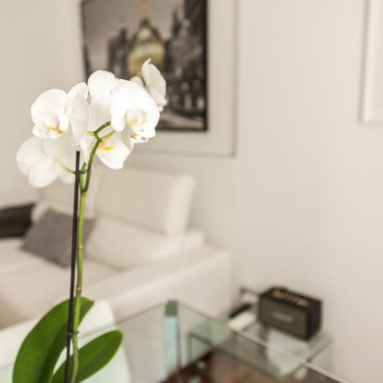 Chueca Urban - Apartamento Superior - 9