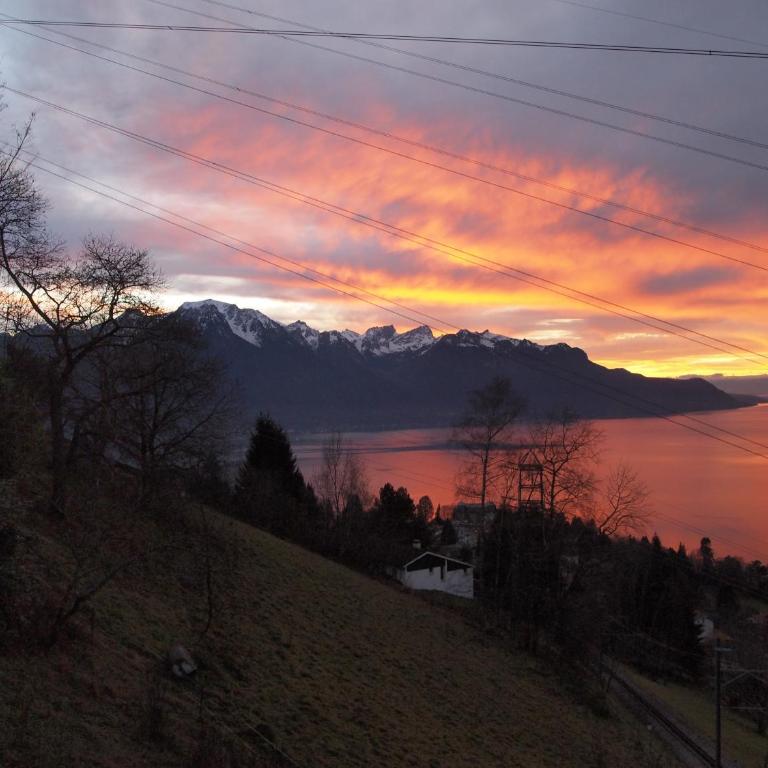 Gais Alpins - Ferienhaus - 14