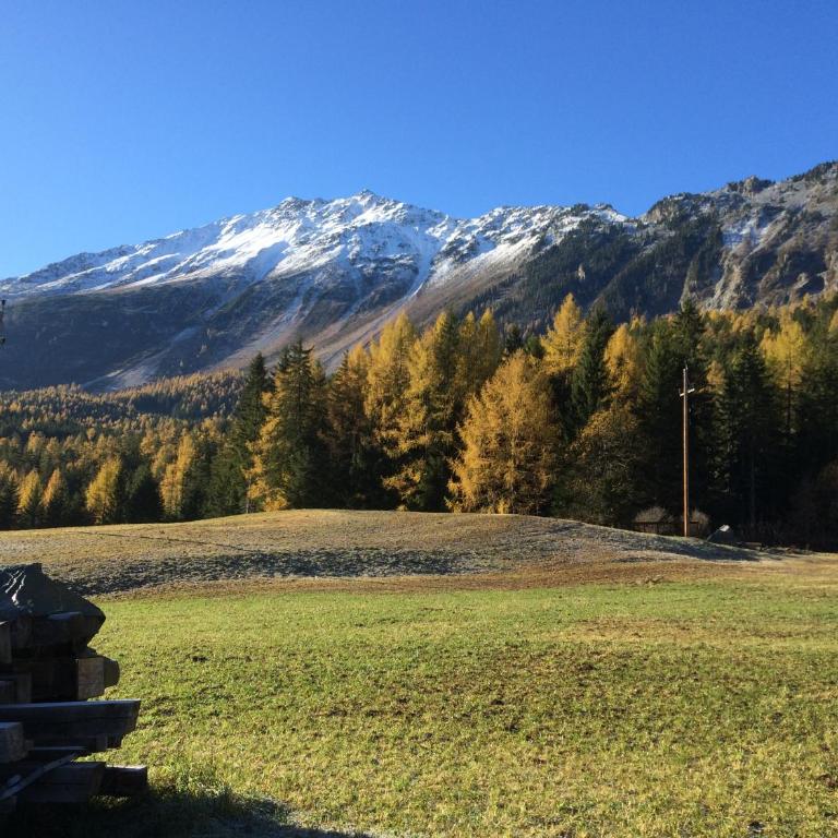 Berghütte Schöpf - Apartment mit Blick auf die Berge - 20