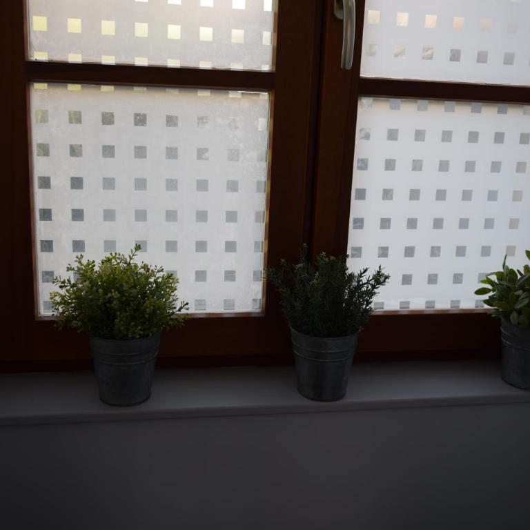 Chez Marie - Appartement - Vue sur Lac - 15
