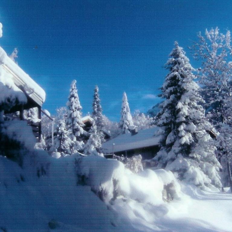 Studio Bel-Hüs / Bel-Häx - Monolocale - 12
