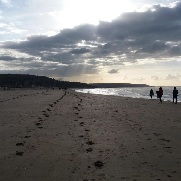 Un petit nid en face de la mer à Deauville - Monolocale con Vista Mare - 19