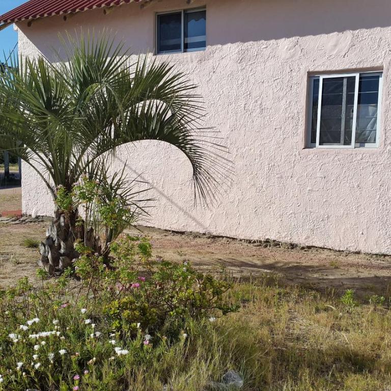 Dipoquito - Casa - 15