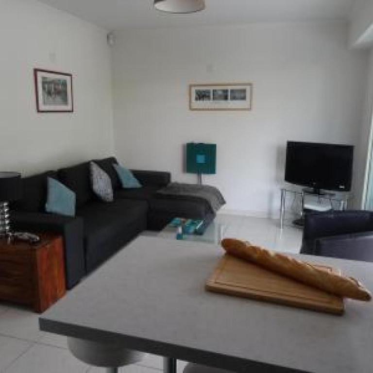 Modern one bedroomed apartment just off the Cannes Seafront with a terrace and pool access 1753 - Appartement 1 Chambre - 9
