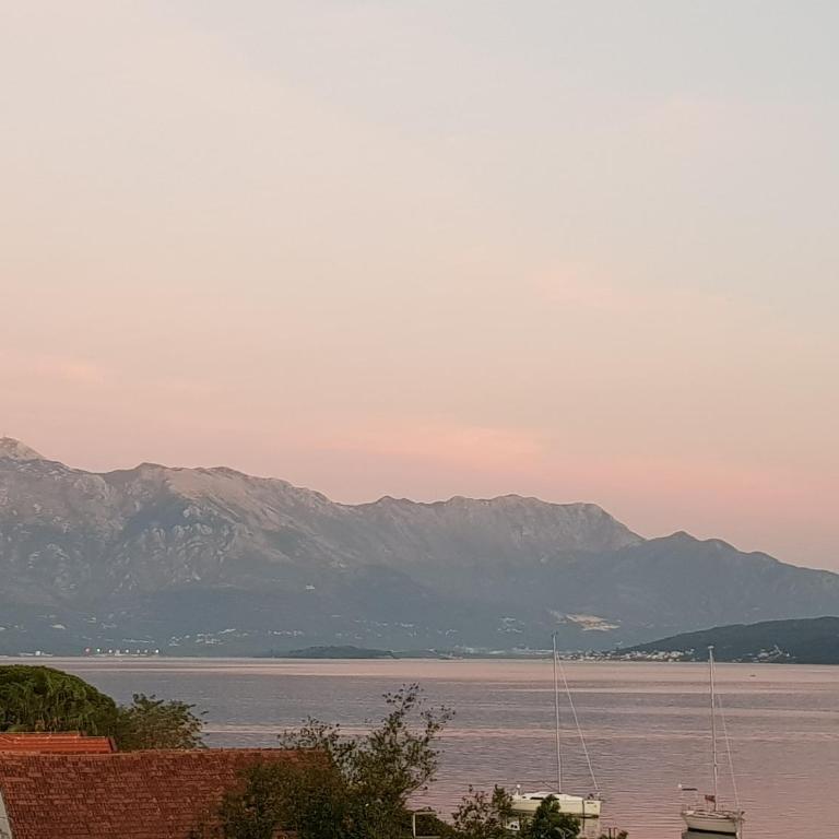 Apartments Villa Swissmonte - Apartment - 16