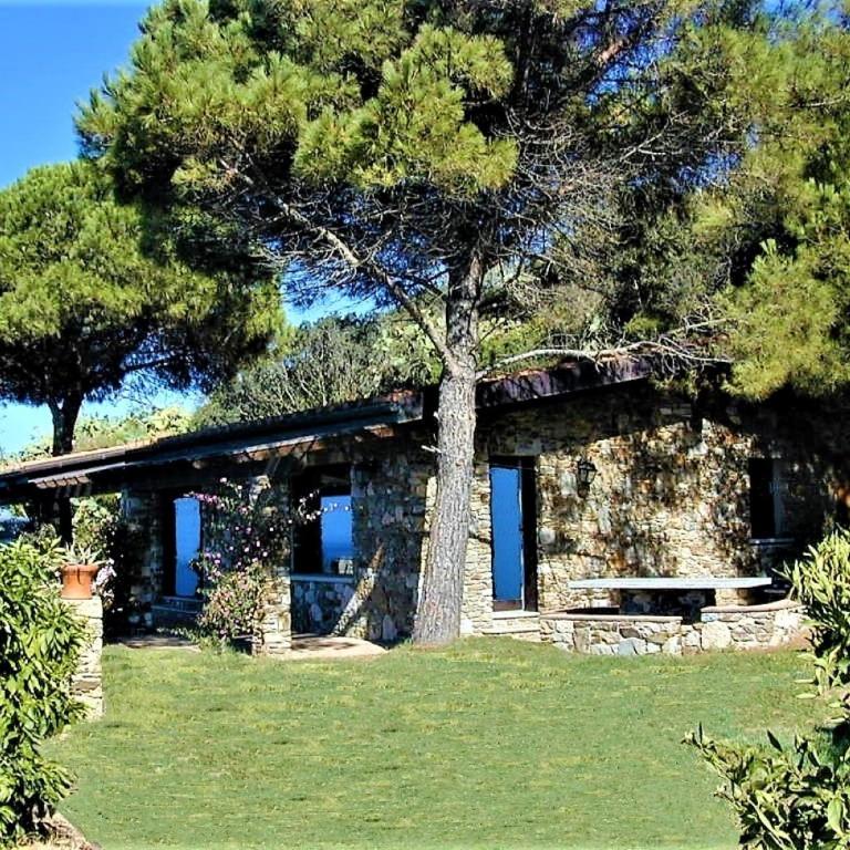 Villa Erste - Villa - 1