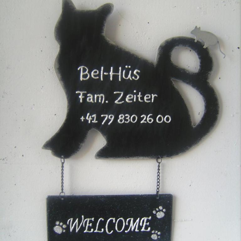 Studio Bel-Hüs / Bel-Häx - Monolocale - 14