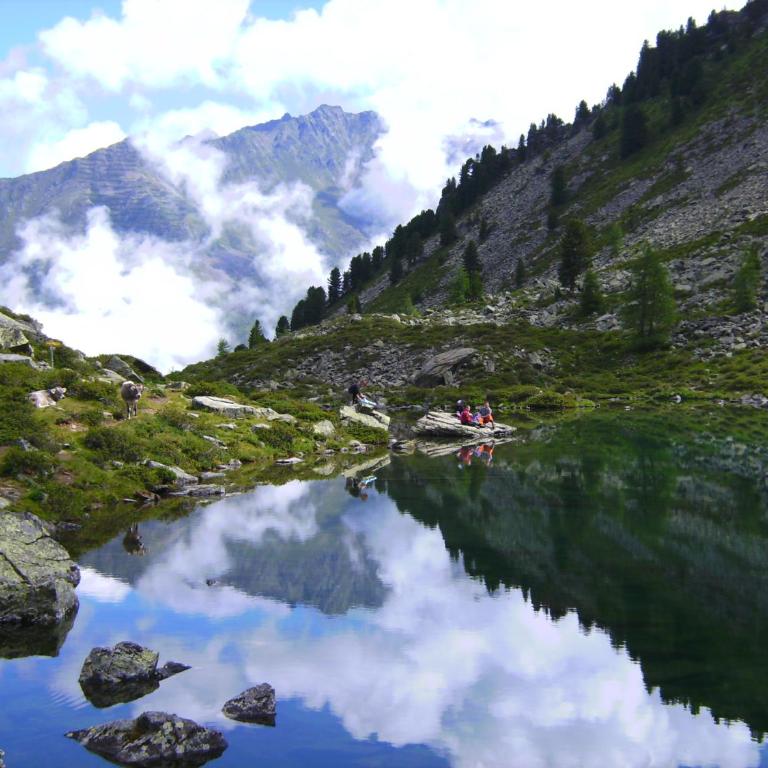 Neuner Charlotte incl Pitztal Sommercard - Apartment mit Blick auf die Berge - 16
