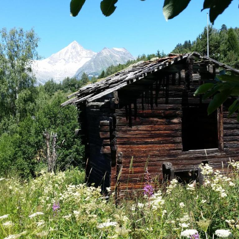 Chalet Bergmann - Haus mit 3 Schlafzimmern - 27