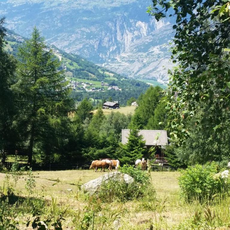 Chalet Bergmann - Haus mit 3 Schlafzimmern - 31