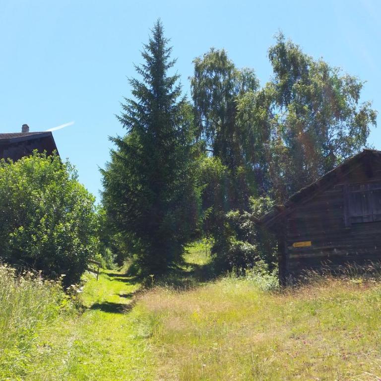 Chalet Bergmann - Haus mit 3 Schlafzimmern - 28