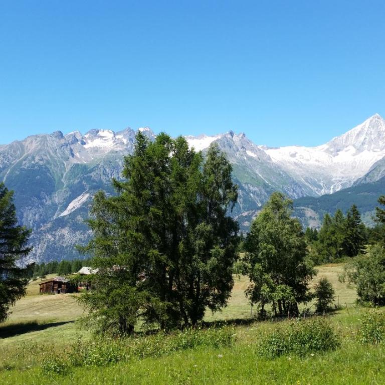 Chalet Bergmann - Haus mit 3 Schlafzimmern - 25