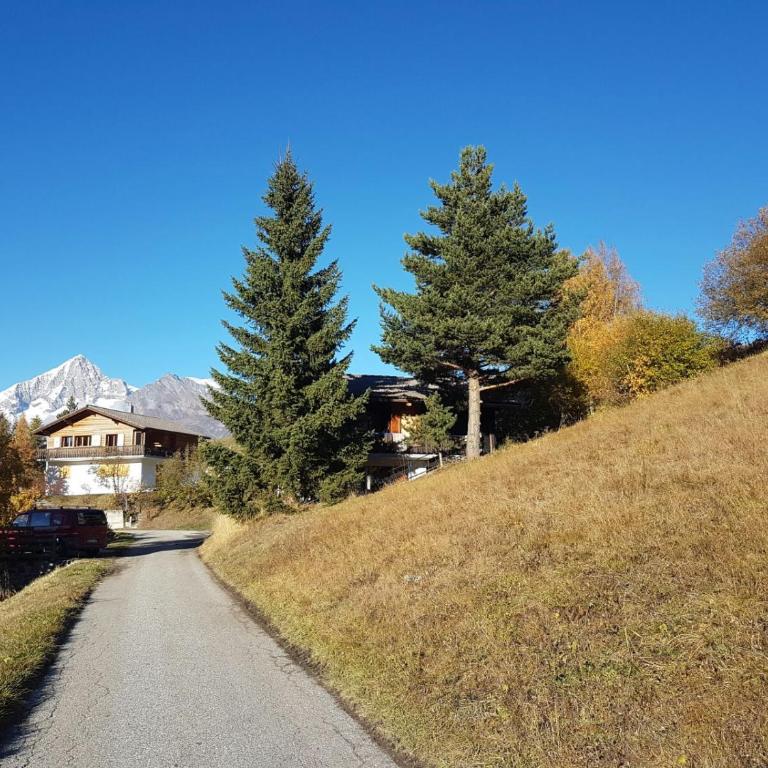 Chalet Bergmann - Haus mit 3 Schlafzimmern - 3