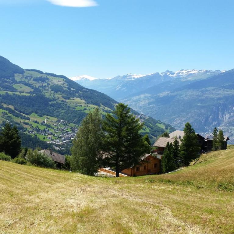 Chalet Bergmann - Haus mit 3 Schlafzimmern - 10