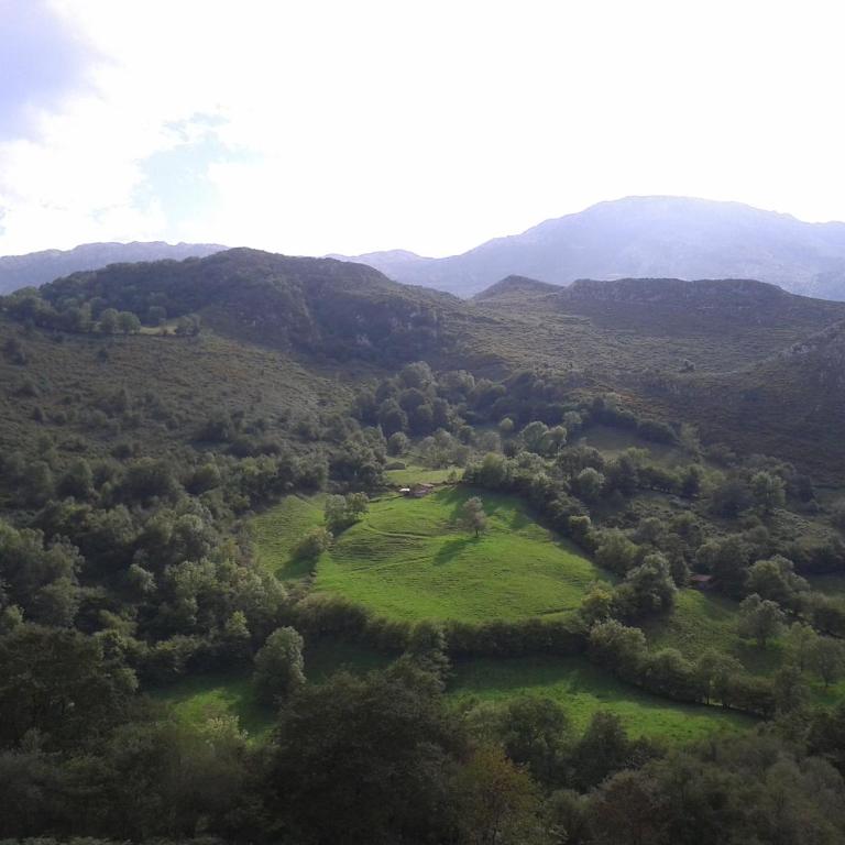 Apartamento en Llanes - Apartment - Ground Floor - 45