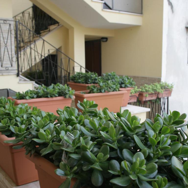 Casa Carmen - Appartamento Standard con 2 Camere da Letto - 98