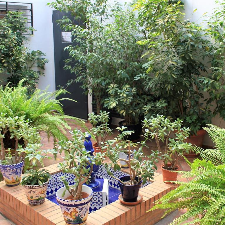 Triana Betis - Apartamento de 2 dormitorios - 8