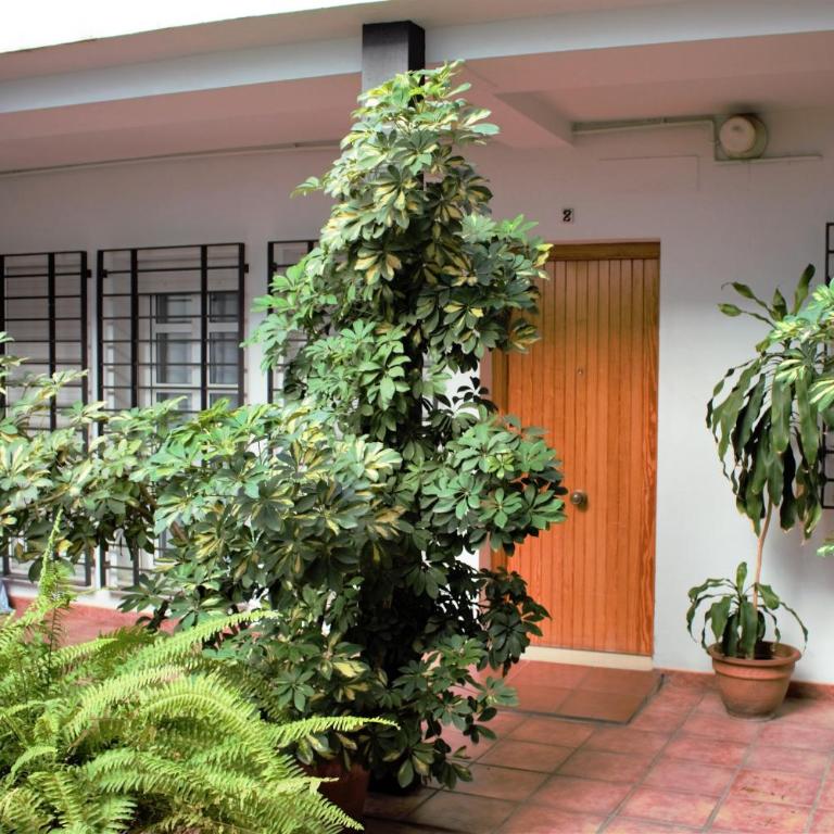 Triana Betis - Apartamento de 2 dormitorios - 9