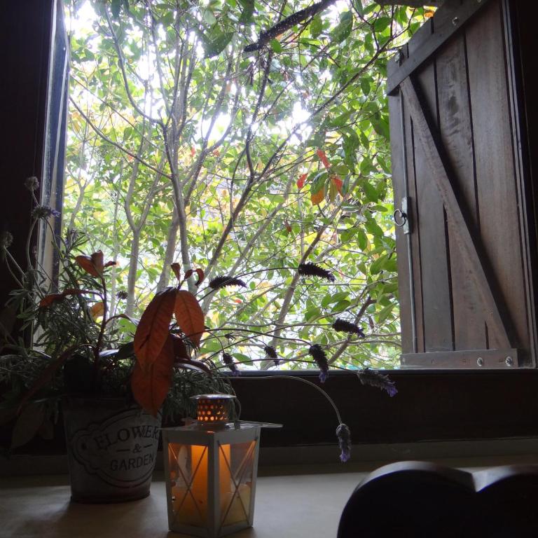 Shangri-La - Casa - 27