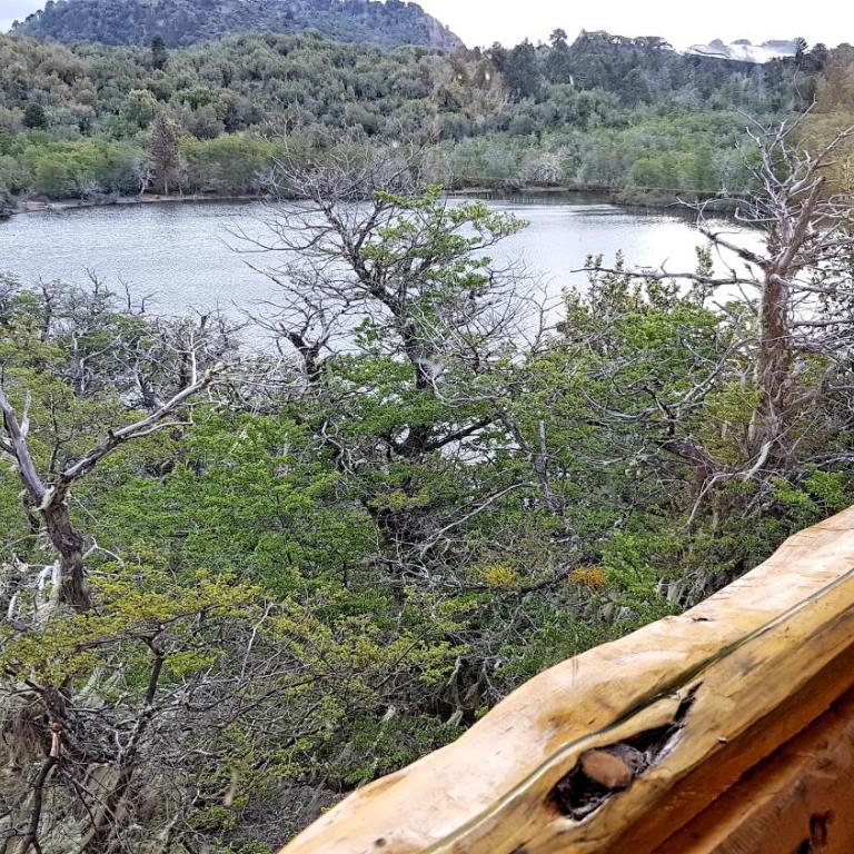 costa bonita el bosque - Habitación Familiar con vistas al lago - 15