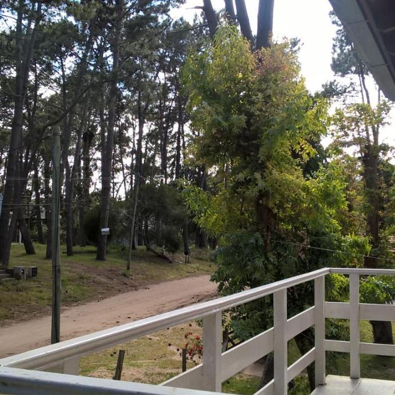 Los Amigos del Pinar - Apartamento con vistas al jardín - 11