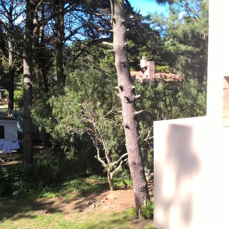 Los Amigos del Pinar - Apartamento con vistas al jardín - 4