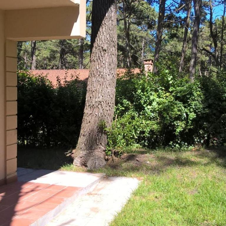 Los Amigos del Pinar - Apartamento con vistas al jardín - 40