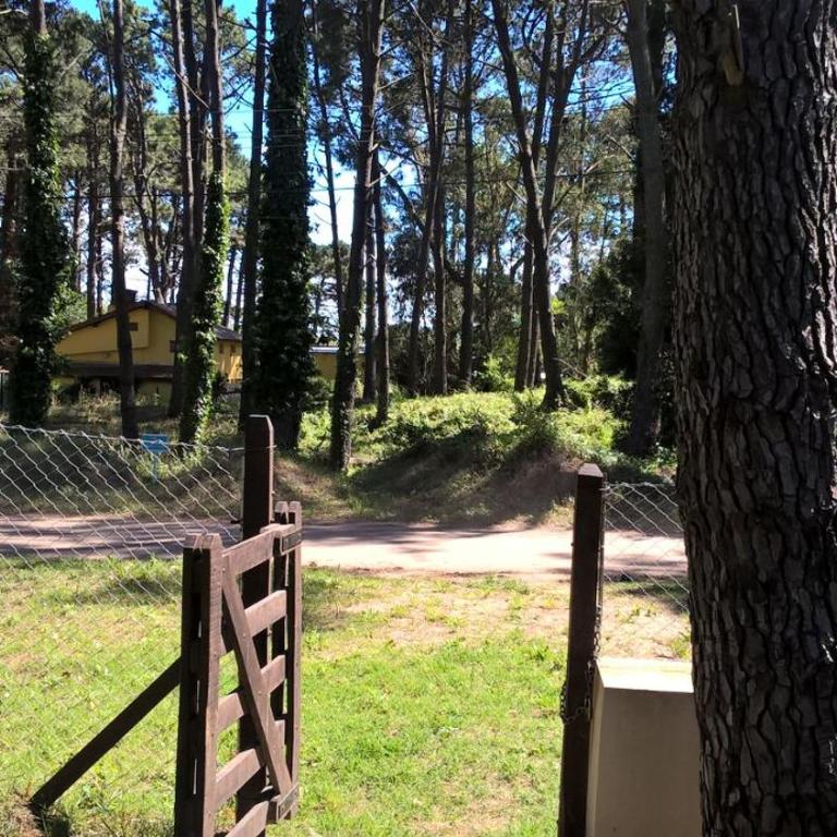 Los Amigos del Pinar - Apartamento con vistas al jardín - 42